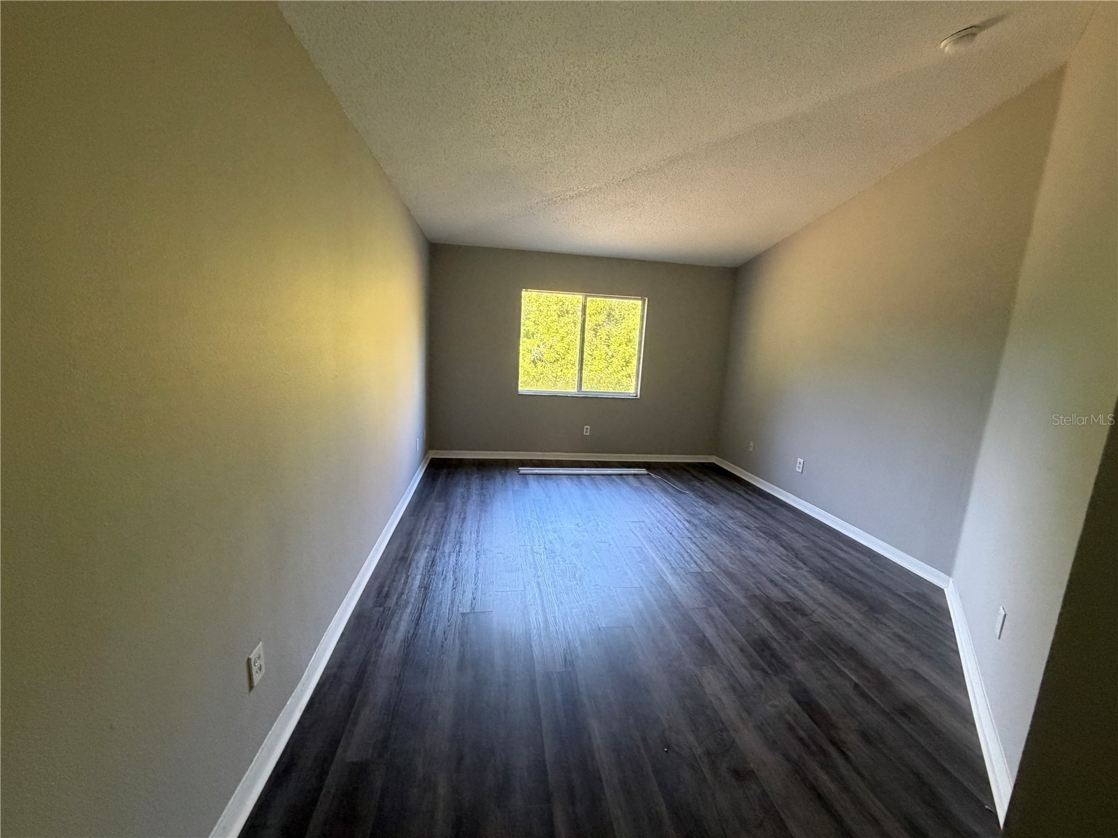 11701 Brenford Crest Drive Riverview FL 33579 TB8514645 image16