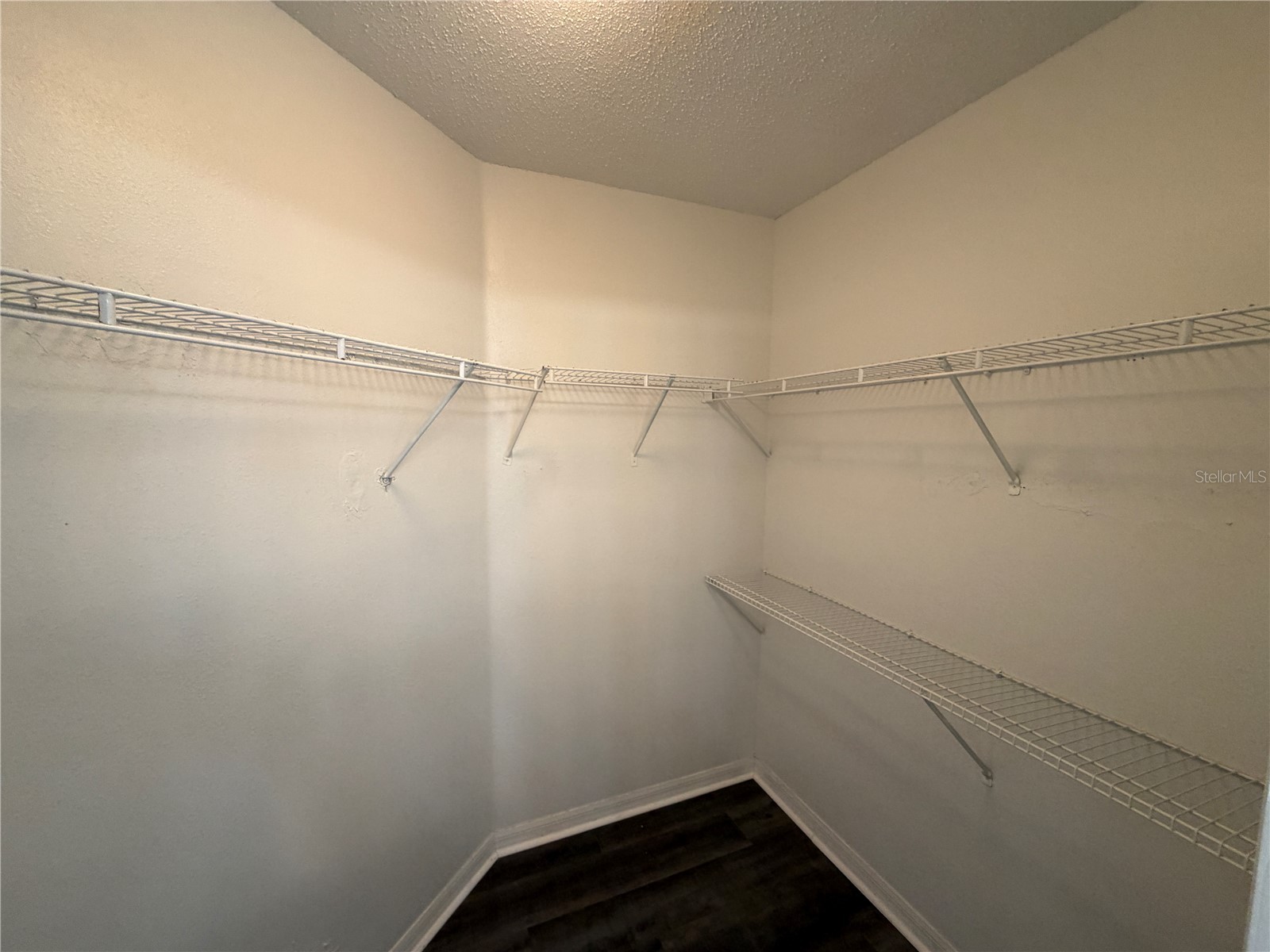 11701 Brenford Crest Drive Riverview FL 33579 TB8514645 image18