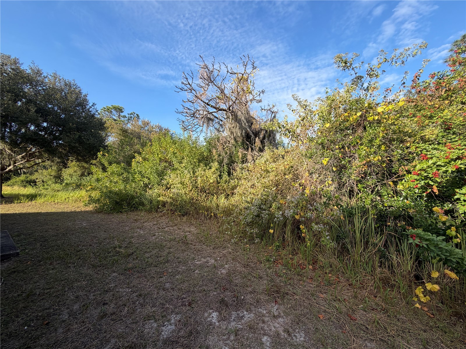 11701 Brenford Crest Drive Riverview FL 33579 TB8514645 image19