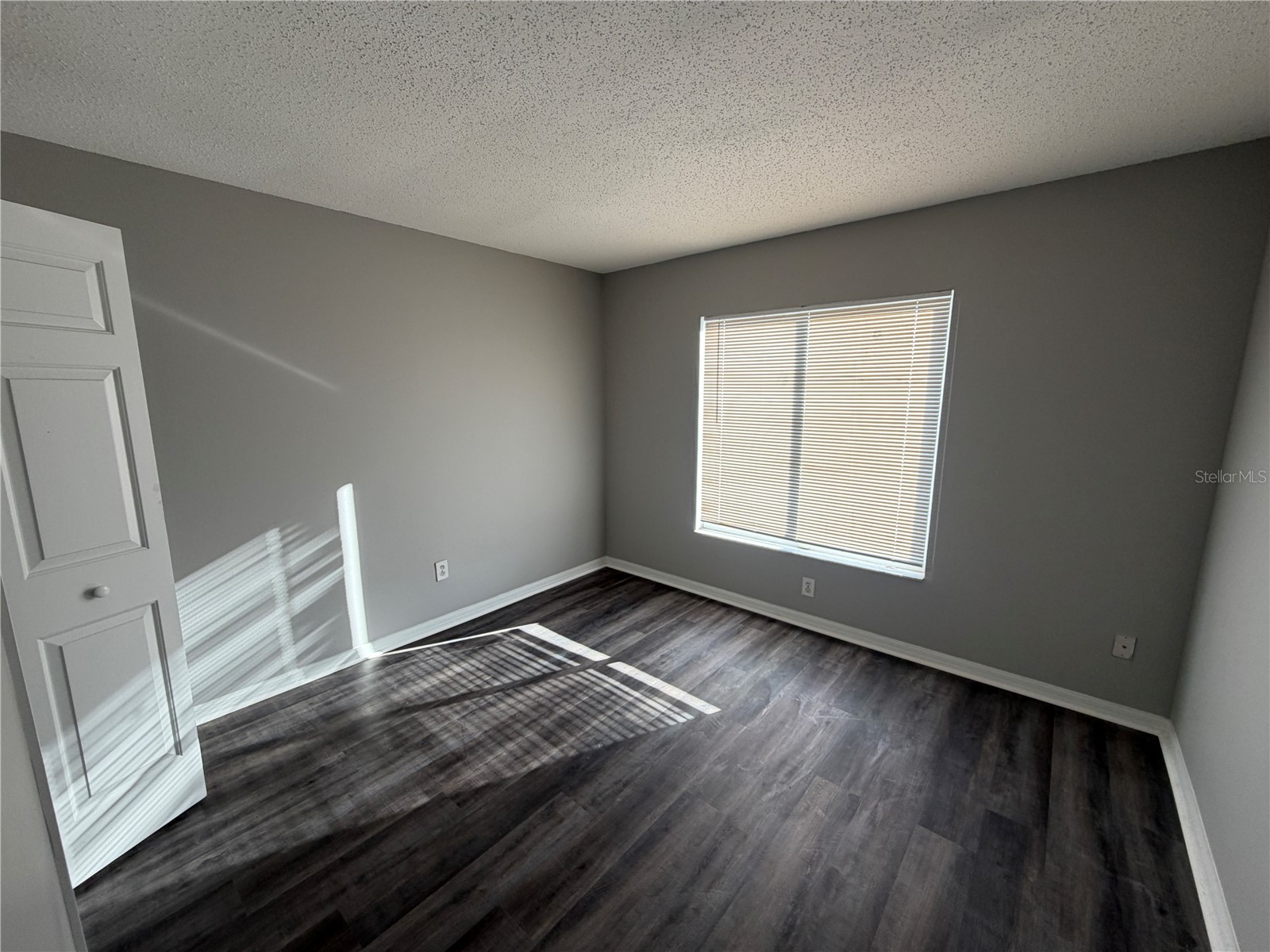 11701 Brenford Crest Drive Riverview FL 33579 TB8514645 image6