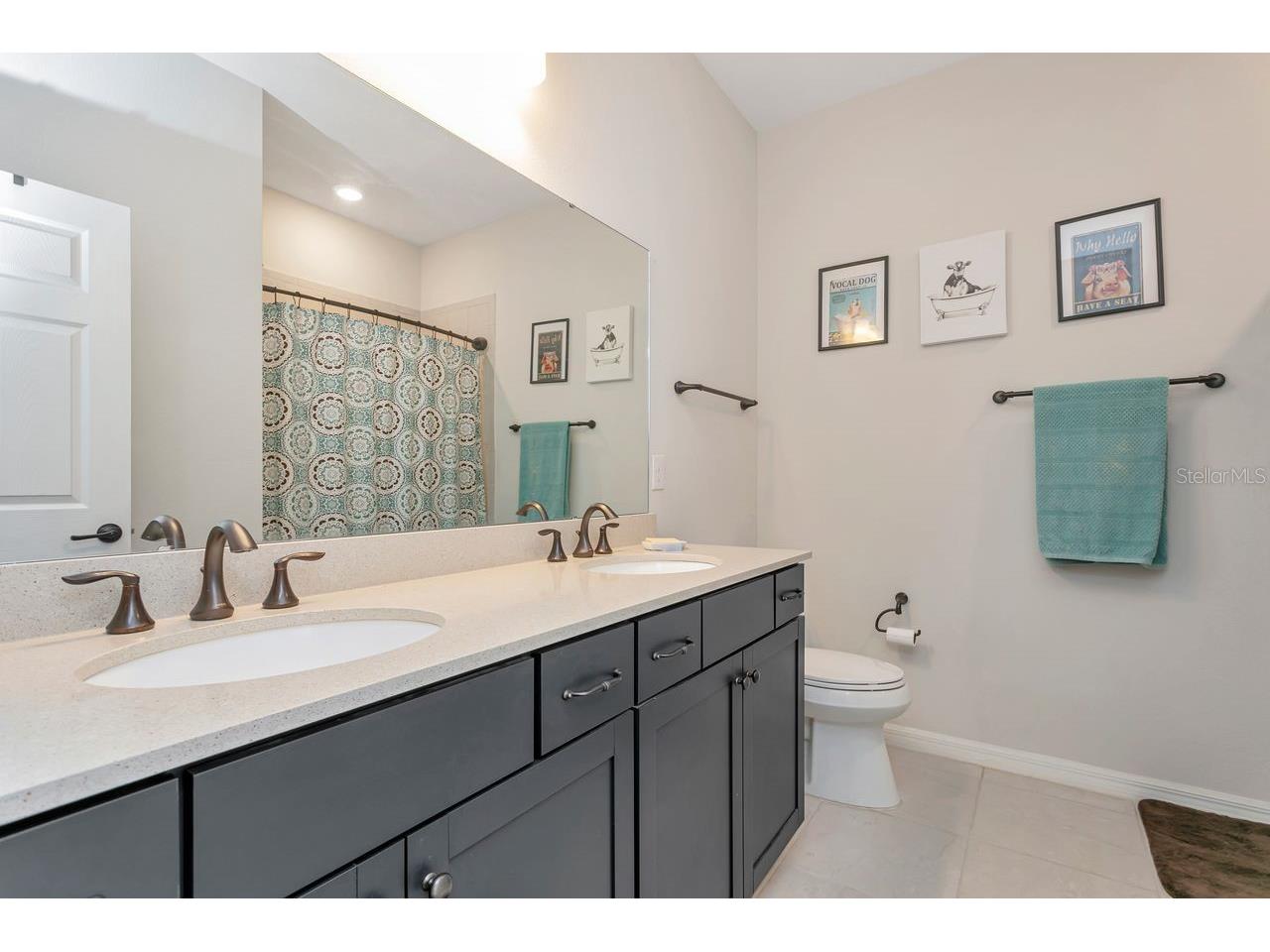 11701 Brighton Knoll Loop Riverview FL 33579 TB8506113 image24