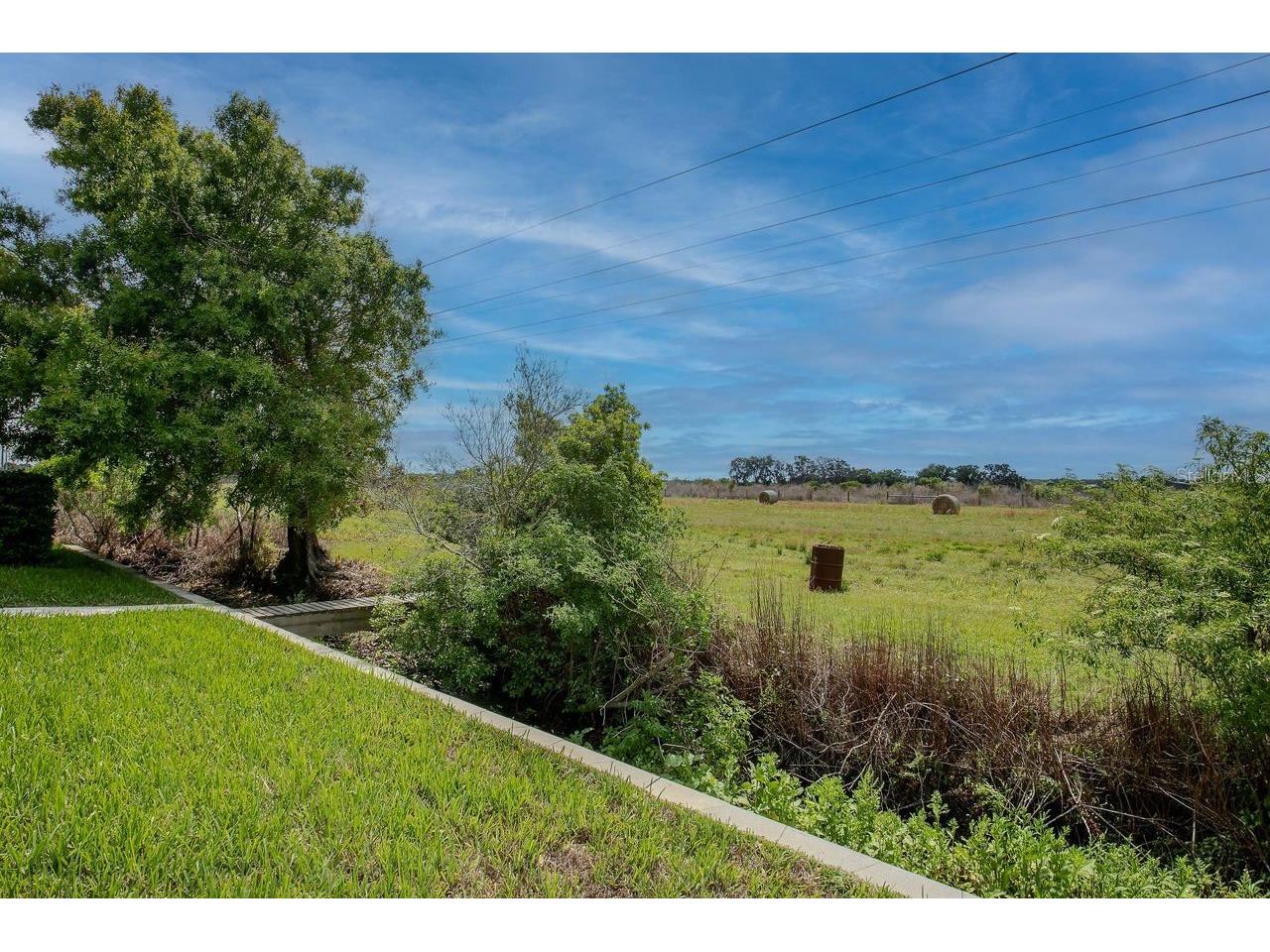 11701 Brighton Knoll Loop Riverview FL 33579 TB8506113 image37