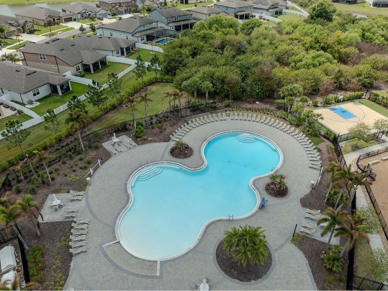 11701 Brighton Knoll Loop Riverview FL 33579 TB8506113 image38