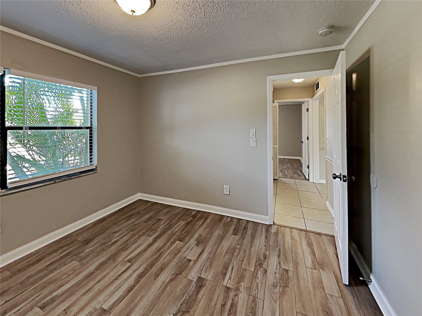 11701 Lynmoor Drive Riverview FL 33579 C7527236 image12