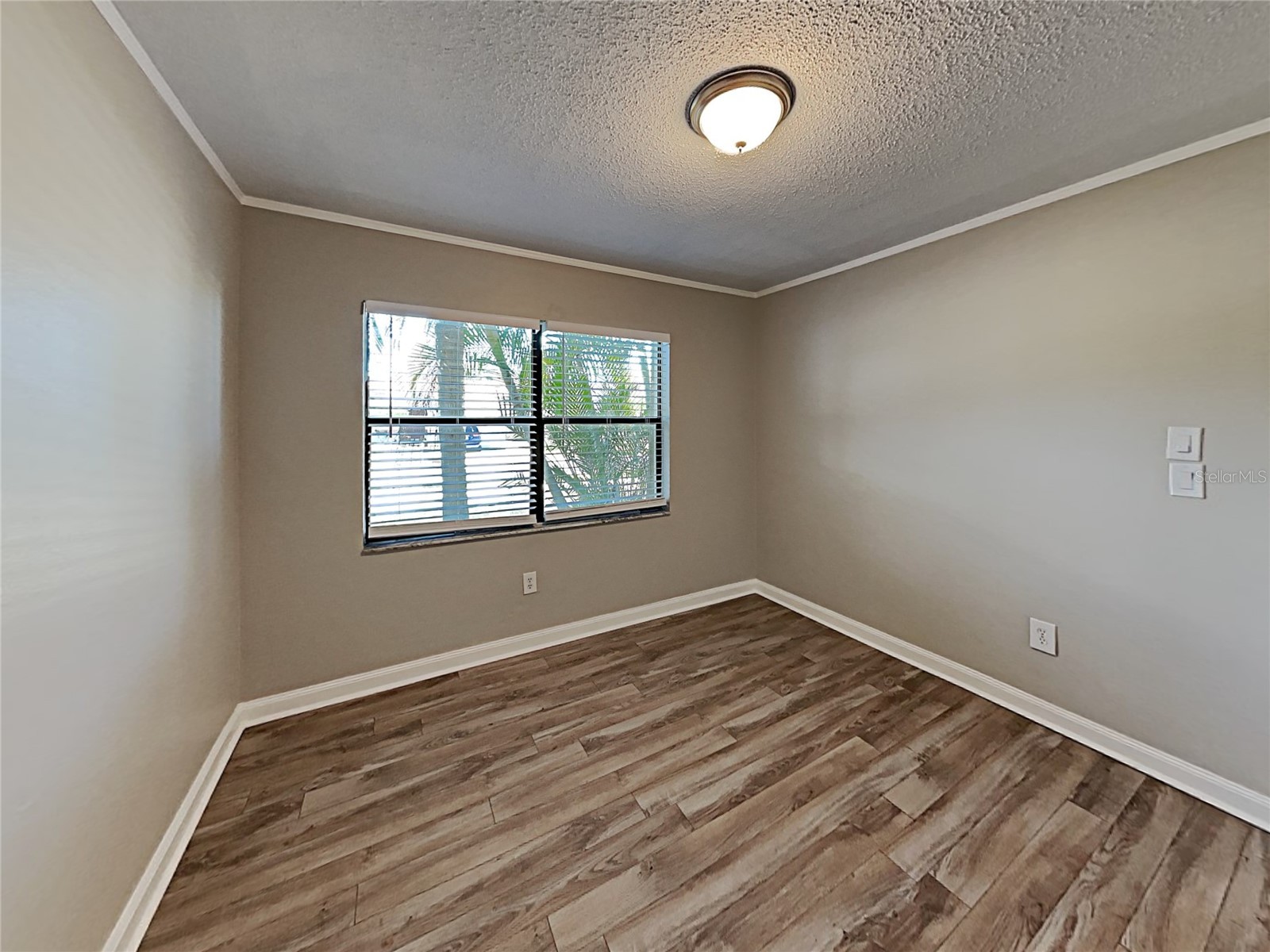 11701 Lynmoor Drive Riverview FL 33579 C7527236 image13