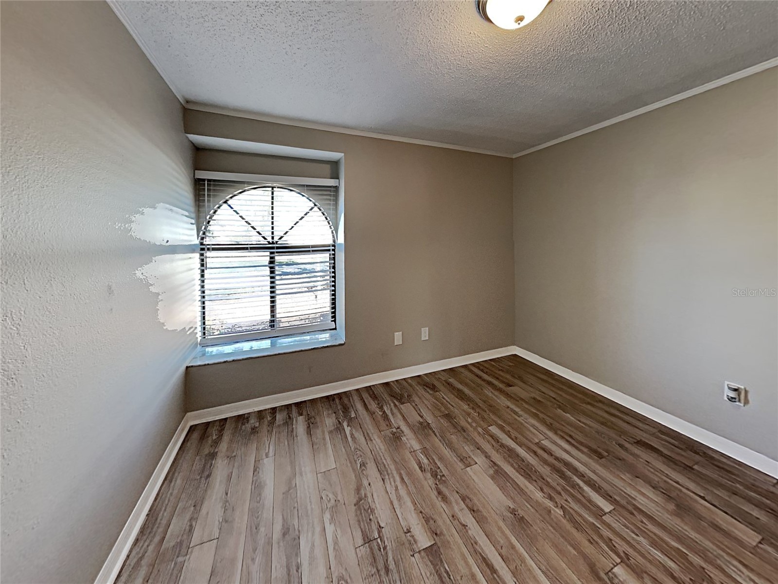 11701 Lynmoor Drive Riverview FL 33579 C7527236 image14