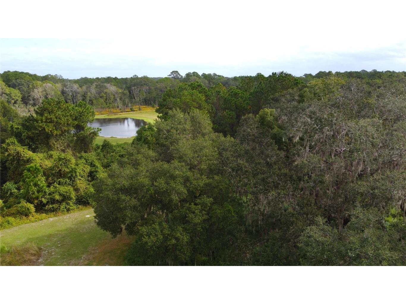 11701 SE Highway 464 Ocklawaha FL 32179 OM711967 image1