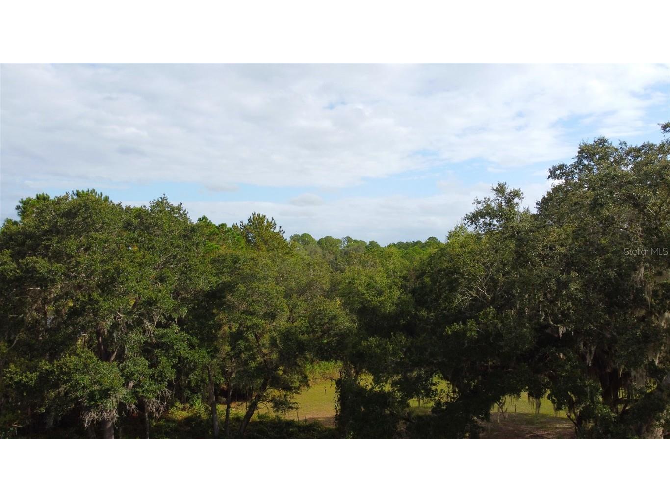 11701 SE Highway 464 Ocklawaha FL 32179 OM711967 image11