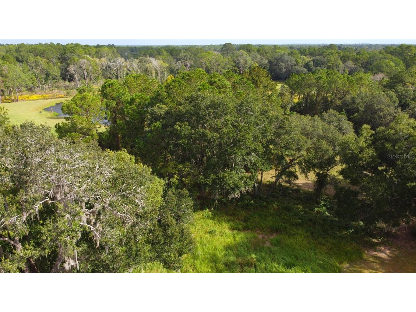 11701 SE Highway 464 Ocklawaha FL 32179 OM711967 image12