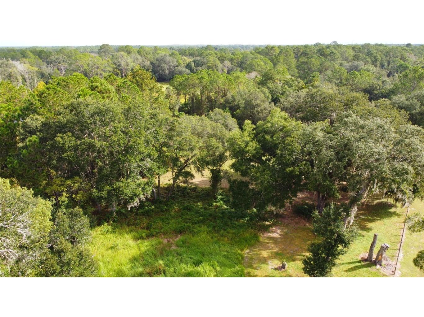 11701 SE Highway 464 Ocklawaha FL 32179 OM711967 image13