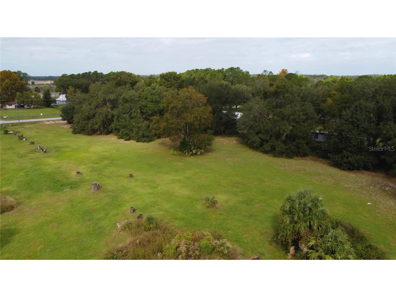 11701 SE Highway 464 Ocklawaha FL 32179 OM711967 image17