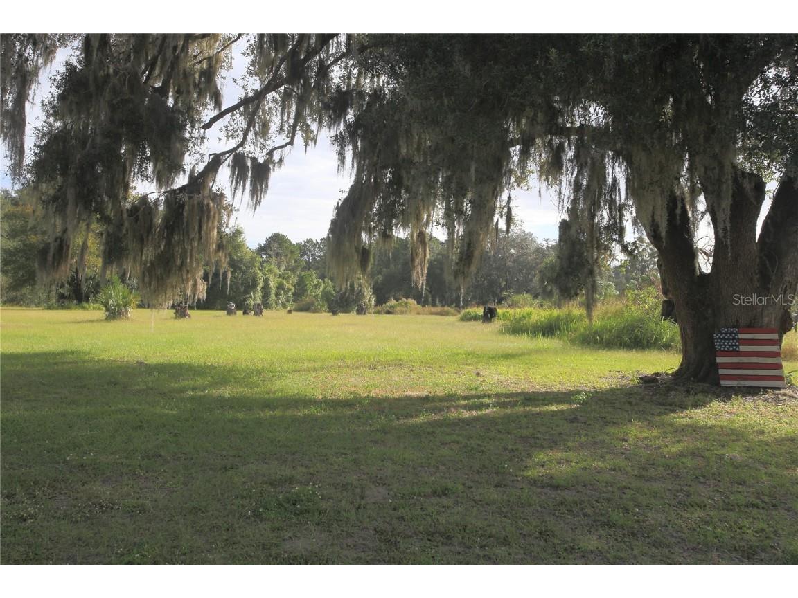 11701 SE Highway 464 Ocklawaha FL 32179 OM711967 image2