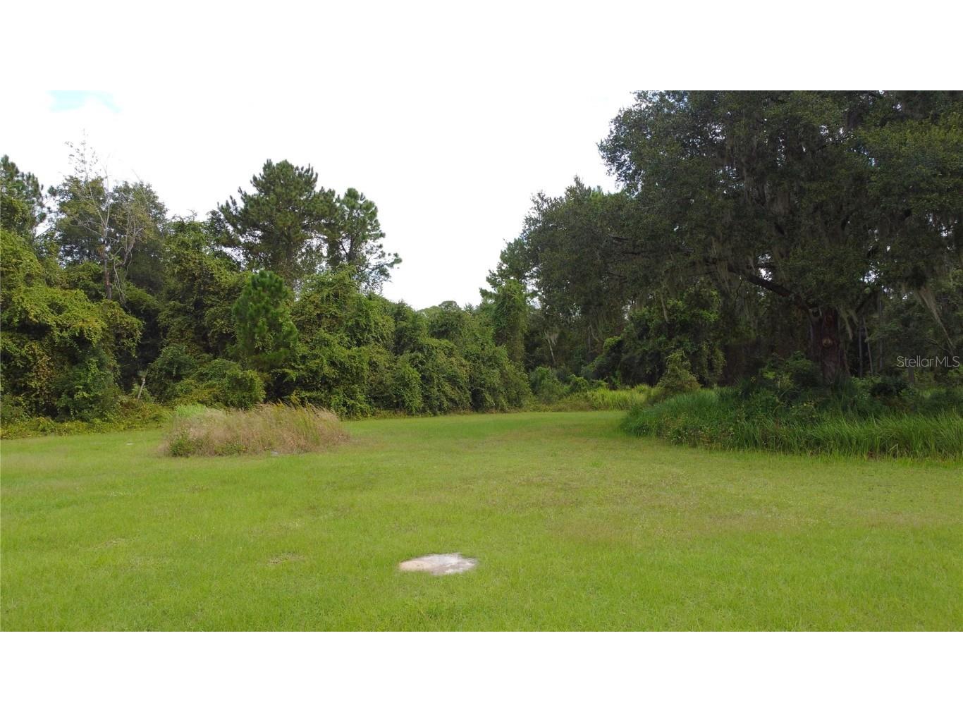 11701 SE Highway 464 Ocklawaha FL 32179 OM711967 image21