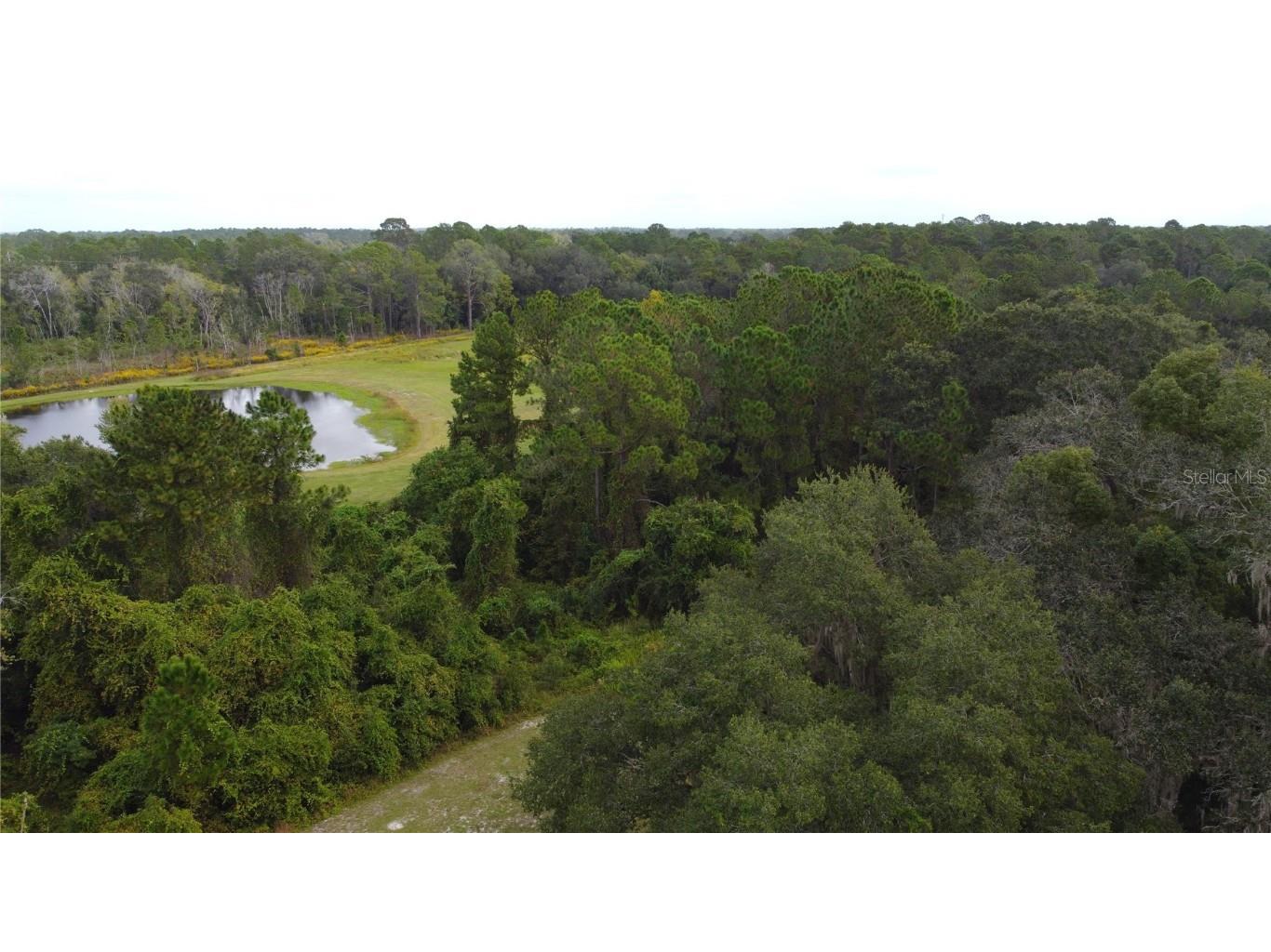 11701 SE Highway 464 Ocklawaha FL 32179 OM711967 image22