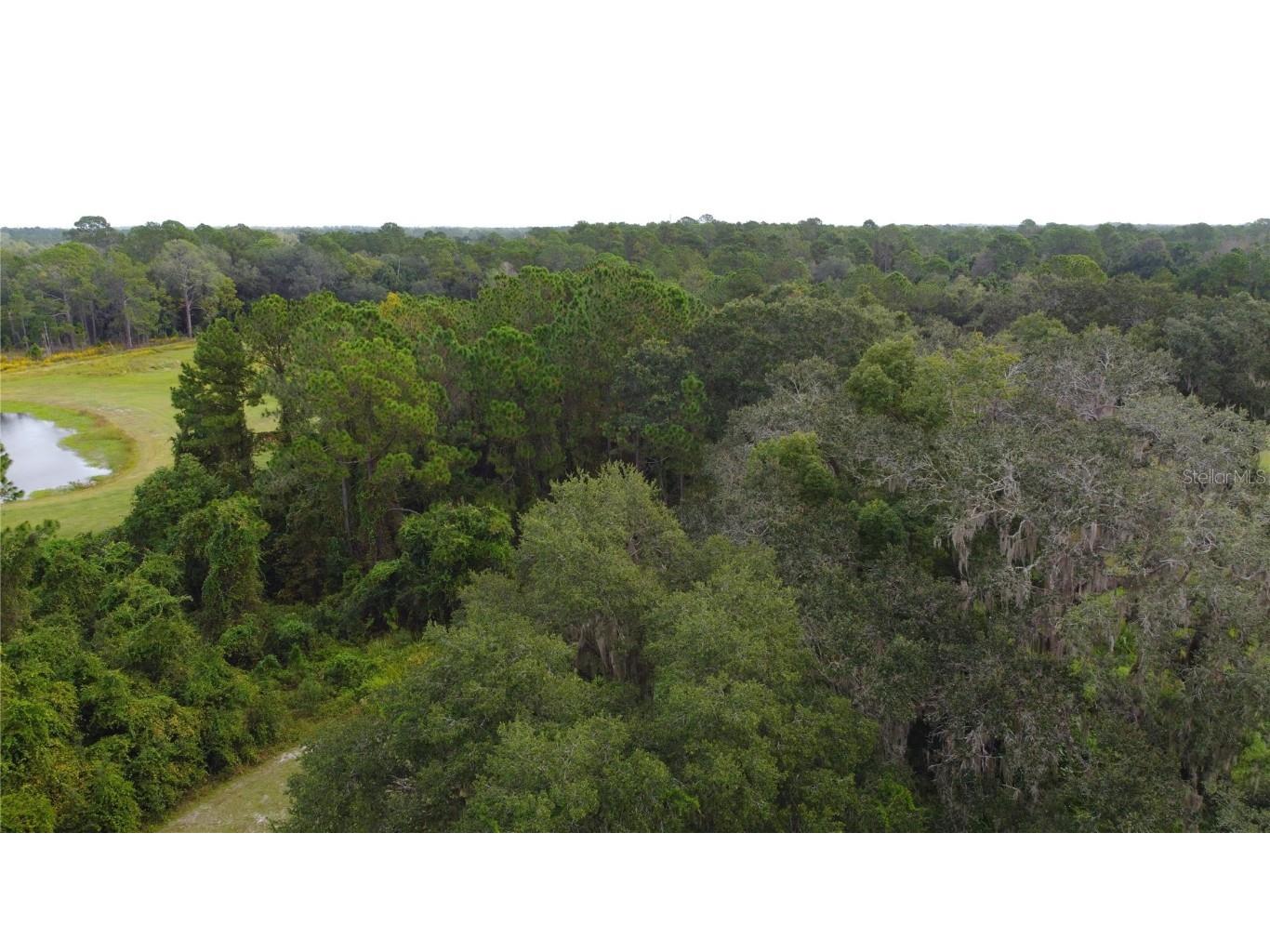 11701 SE Highway 464 Ocklawaha FL 32179 OM711967 image23