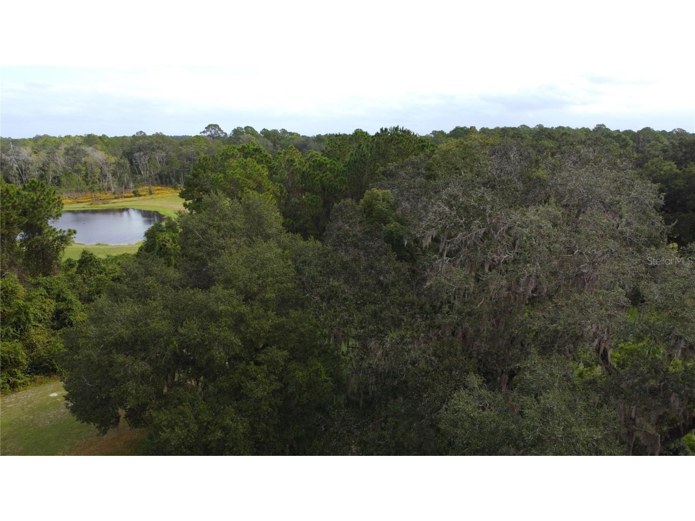 11701 SE Highway 464 Ocklawaha FL 32179 OM711967 image24