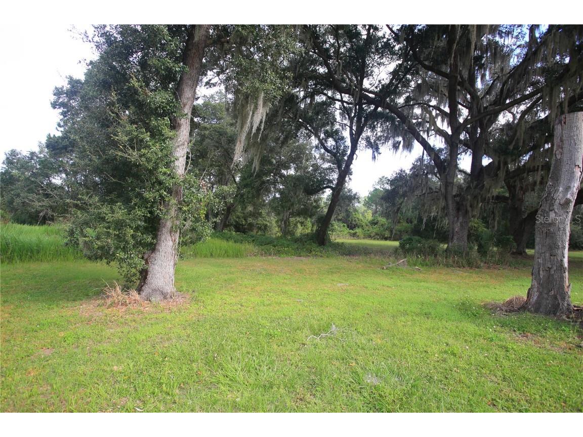 11701 SE Highway 464 Ocklawaha FL 32179 OM711967 image4