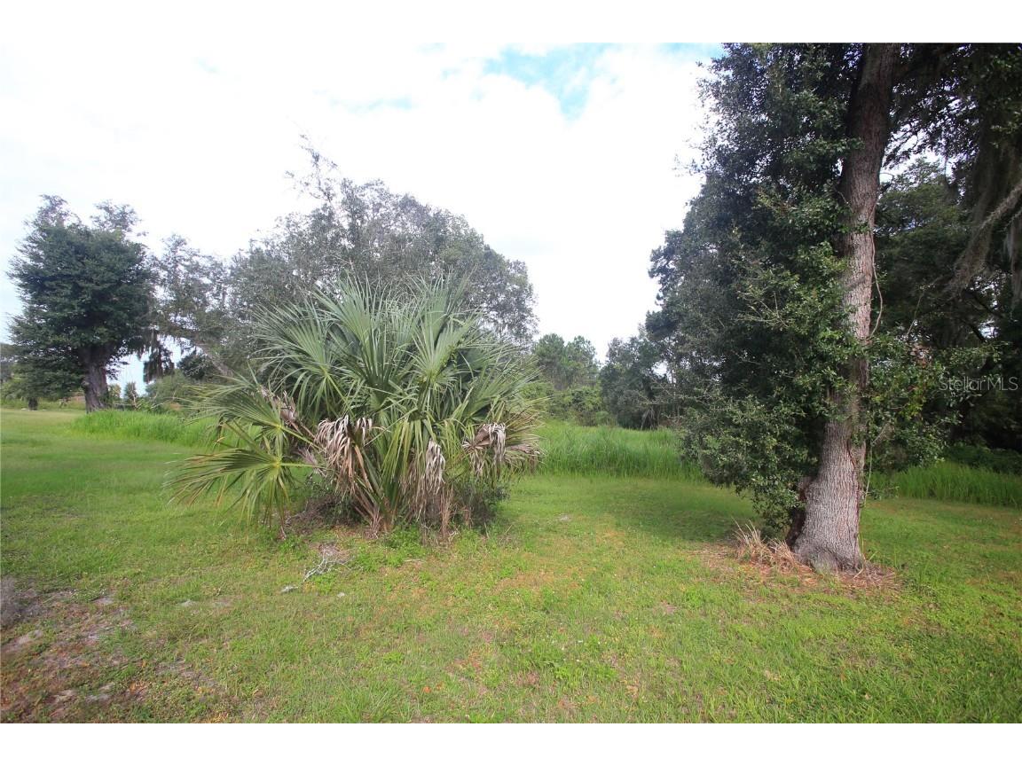 11701 SE Highway 464 Ocklawaha FL 32179 OM711967 image5