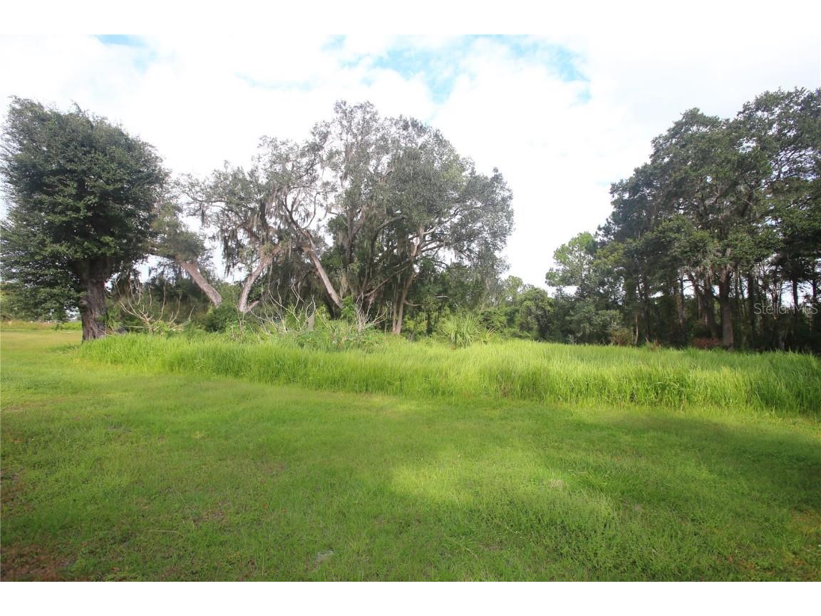 11701 SE Highway 464 Ocklawaha FL 32179 OM711967 image6