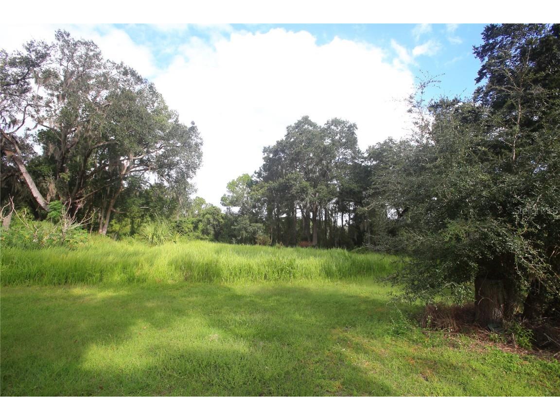 11701 SE Highway 464 Ocklawaha FL 32179 OM711967 image7