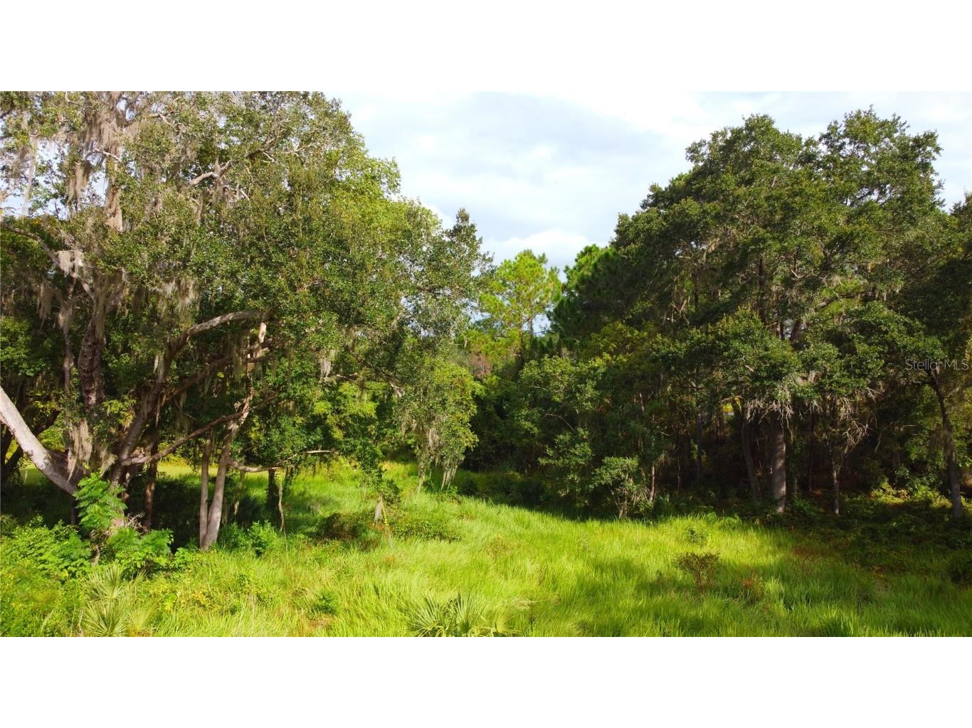 11701 SE Highway 464 Ocklawaha FL 32179 OM711967 image8