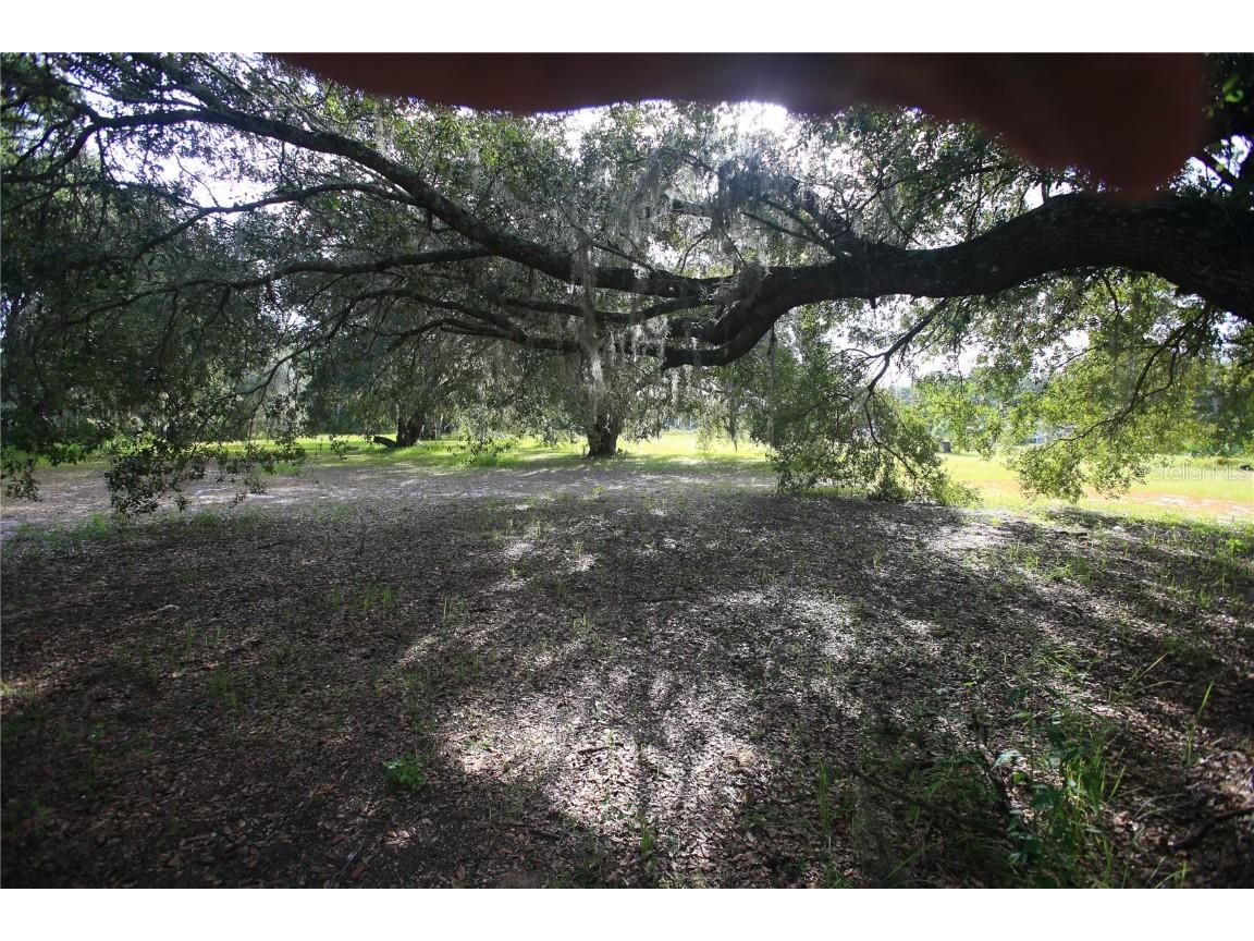 11701 SE Highway 464 Ocklawaha FL 32179 OM711967 image9
