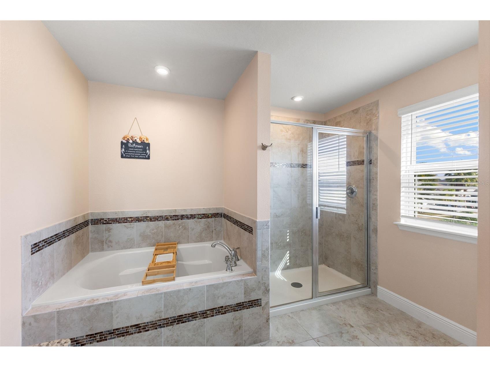 11702 Lake Lucaya Drive Riverview FL 33579 - LUCAYA LKE TB8454689 image28