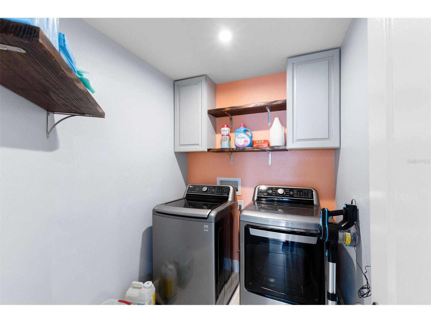 11702 Lake Lucaya Drive Riverview FL 33579 - LUCAYA LKE TB8454689 image33