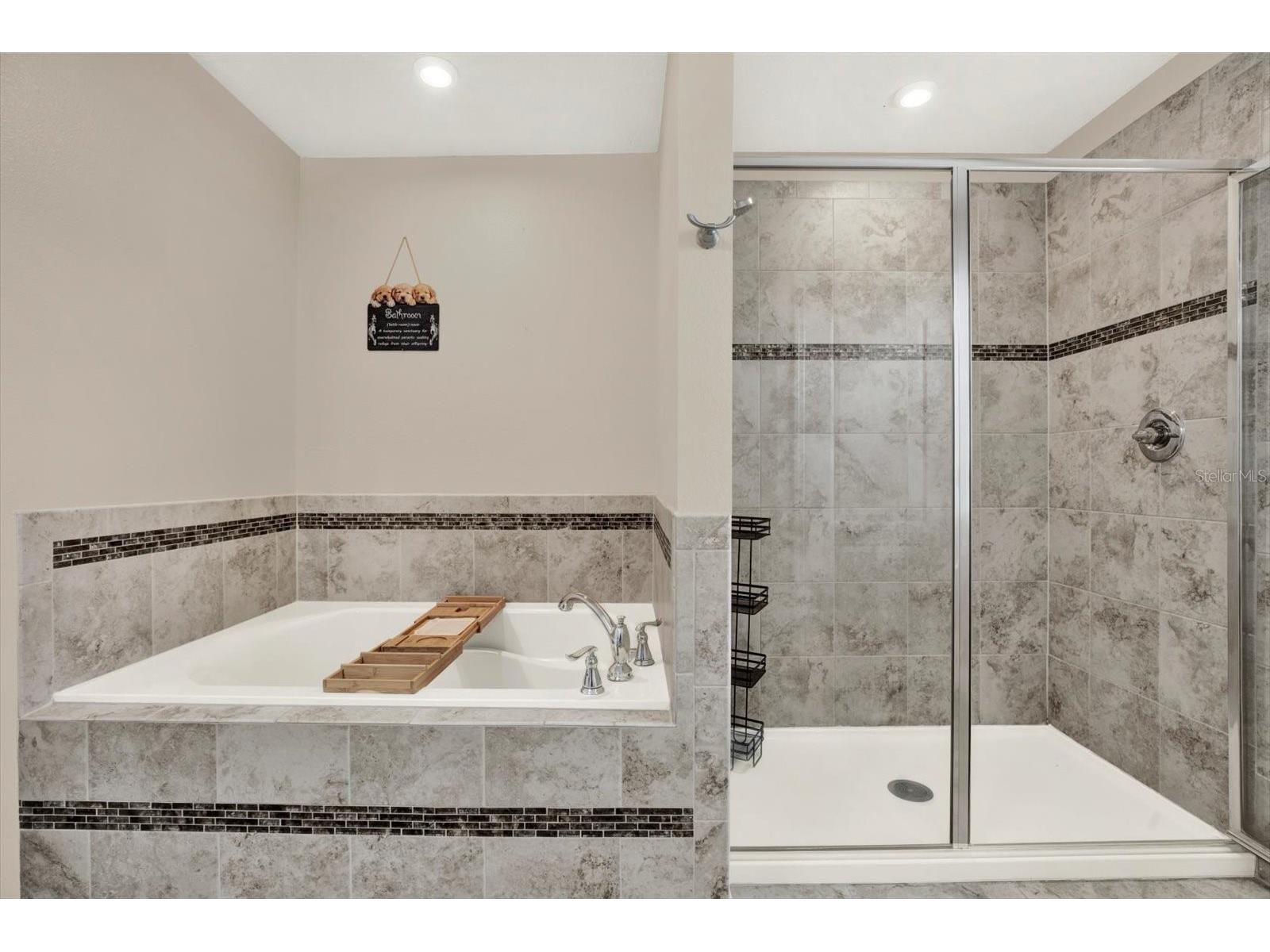 11702 Lake Lucaya Drive Riverview FL 33579 - LUCAYA LAKE TB8516986 image27