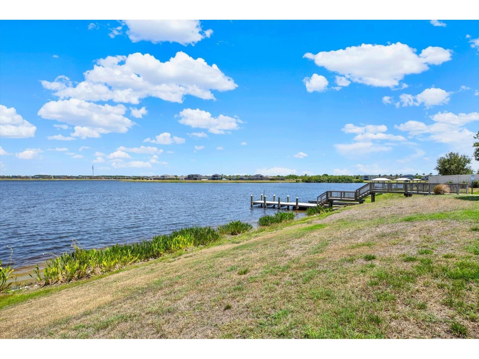 11702 Lake Lucaya Drive Riverview FL 33579 - LUCAYA LAKE TB8516986 image52