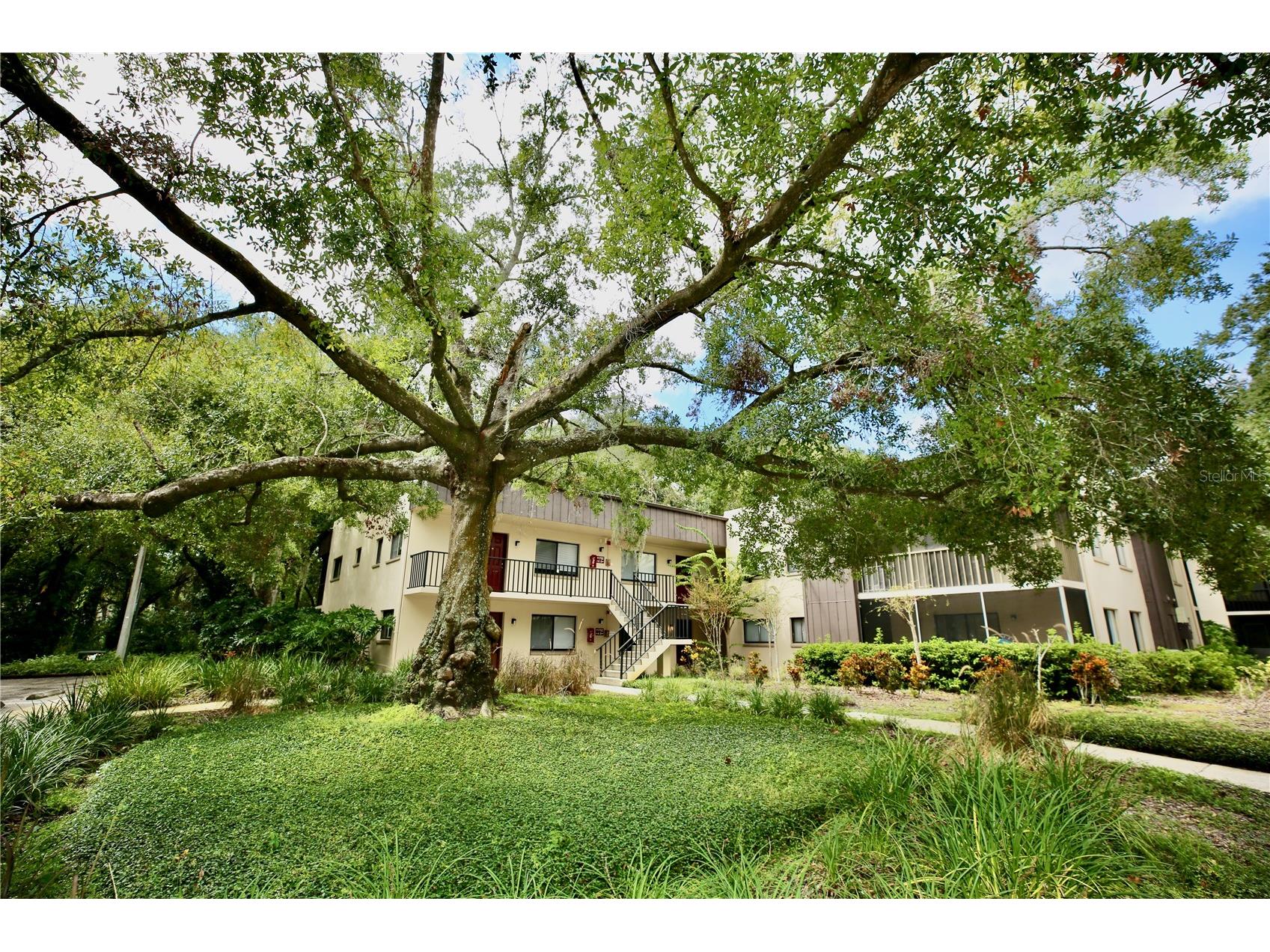 11702 Raintree Village Boulevard #B Temple Terrace FL 33617 TB8444195 image1