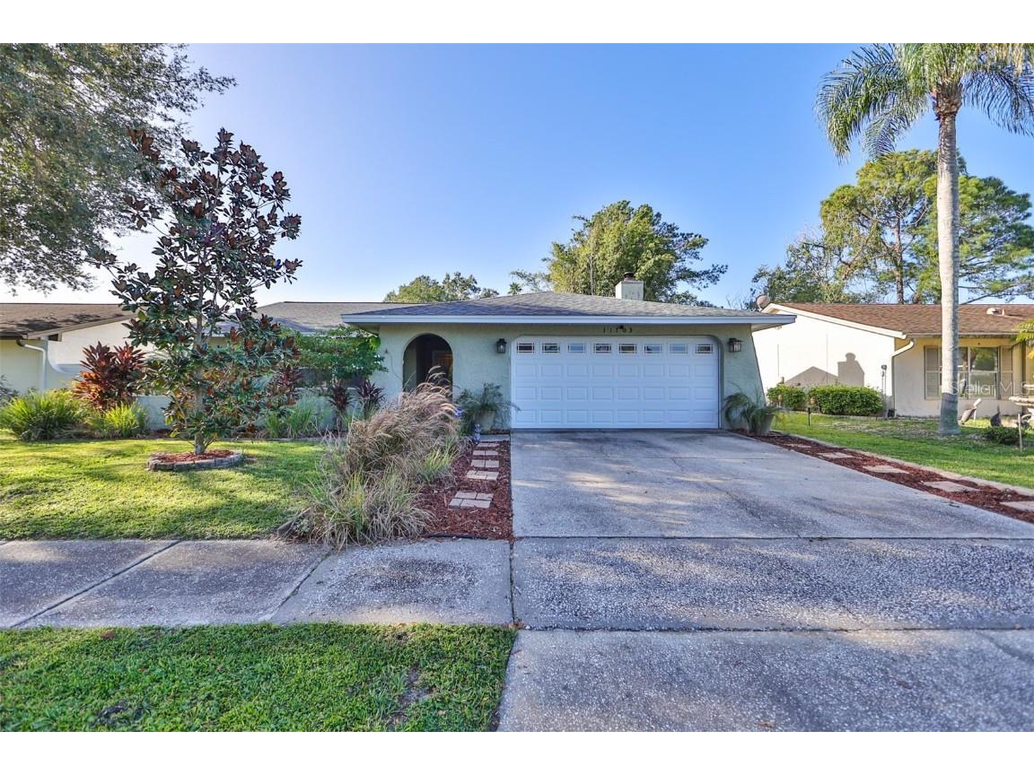 11703 Country Run Road Tampa FL 33624 T3477421 image1