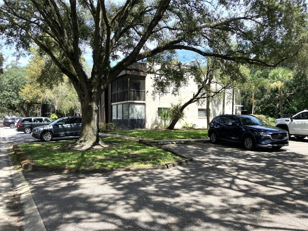 11703 Raintree Village Boulevard #B Temple Terrace FL 33617 TB8427882 image1