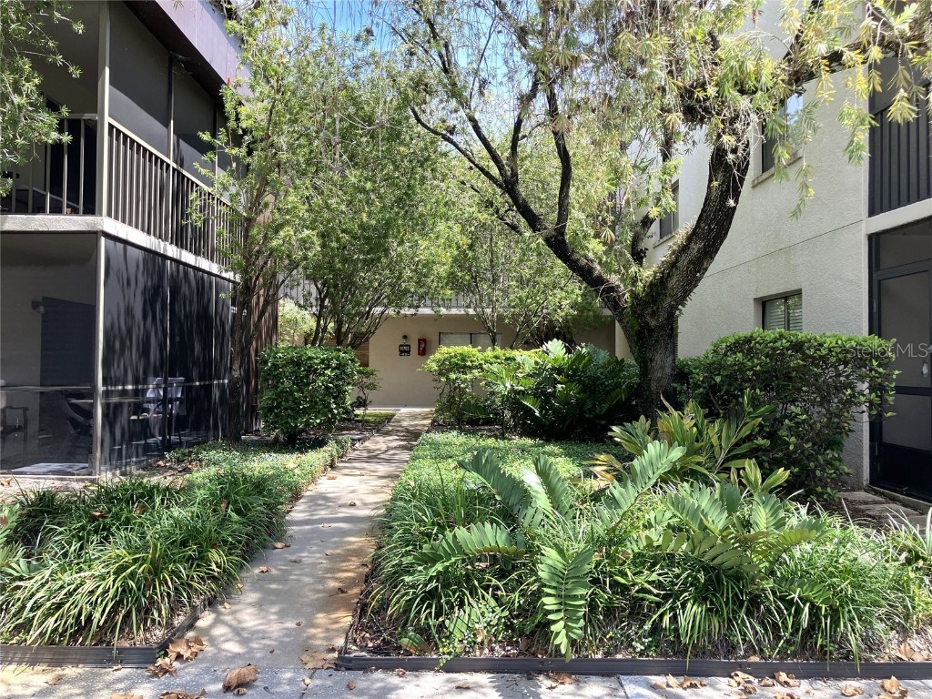 11703 Raintree Village Boulevard #B Temple Terrace FL 33617 TB8427882 image3