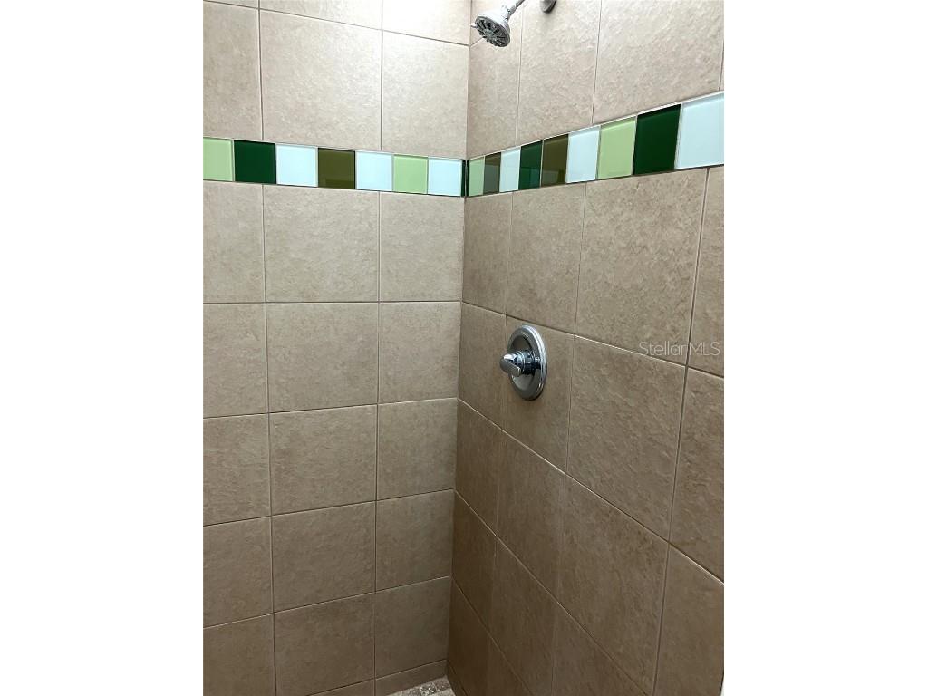 11703 Raintree Village Boulevard #B Temple Terrace FL 33617 TB8427882 image35