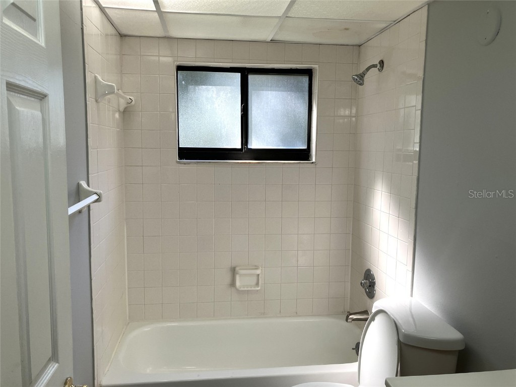 11703 Raintree Village Boulevard #B Temple Terrace FL 33617 TB8427882 image43