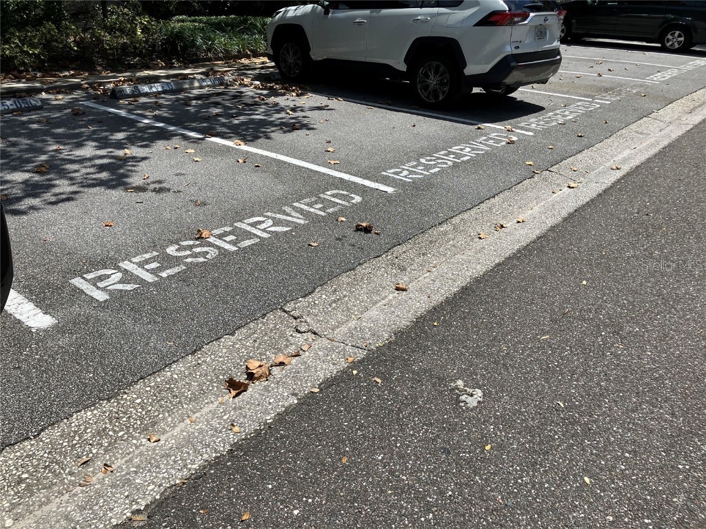 11703 Raintree Village Boulevard #B Temple Terrace FL 33617 TB8427882 image49