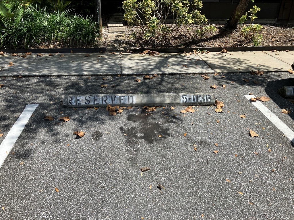 11703 Raintree Village Boulevard #B Temple Terrace FL 33617 TB8427882 image50