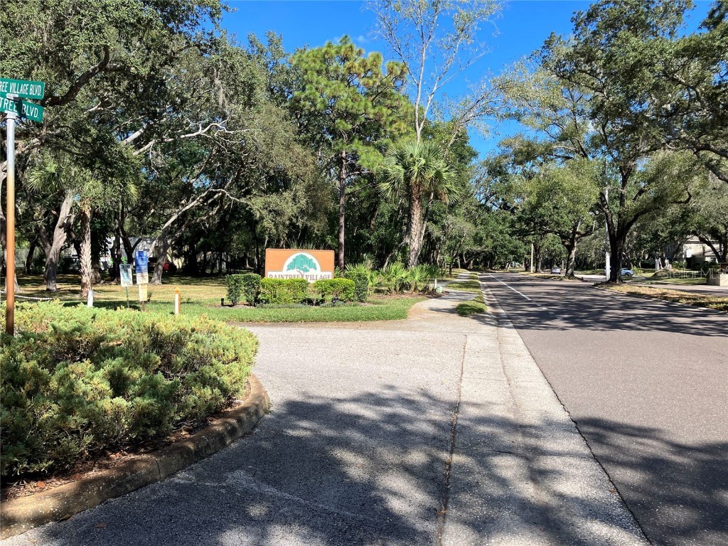 11703 Raintree Village Boulevard #B Temple Terrace FL 33617 TB8427882 image53