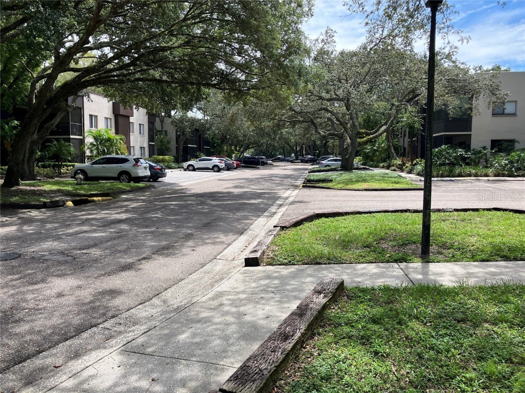 11703 Raintree Village Boulevard #B Temple Terrace FL 33617 TB8427882 image54