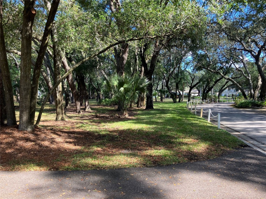 11703 Raintree Village Boulevard #B Temple Terrace FL 33617 TB8427882 image57