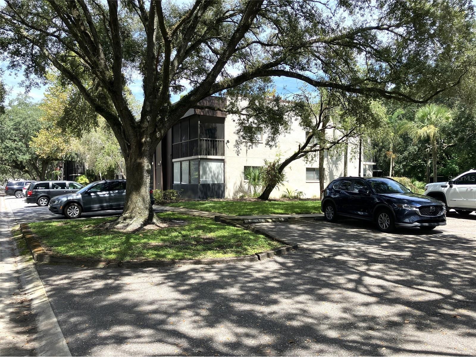 11703 Raintree Village Boulevard #B Temple Terrace FL 33617 TB8468420 image1