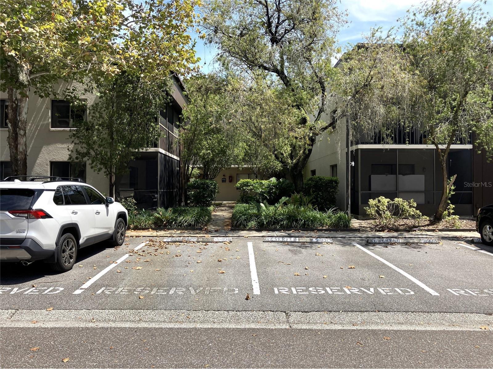 11703 Raintree Village Boulevard #B Temple Terrace FL 33617 TB8468420 image2