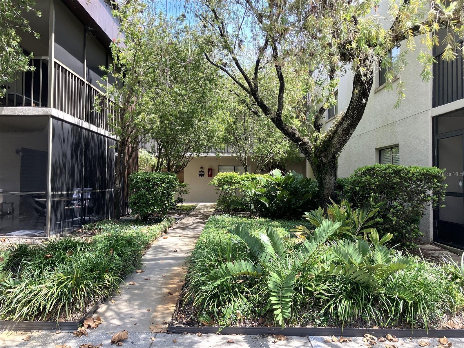 11703 Raintree Village Boulevard #B Temple Terrace FL 33617 TB8468420 image3