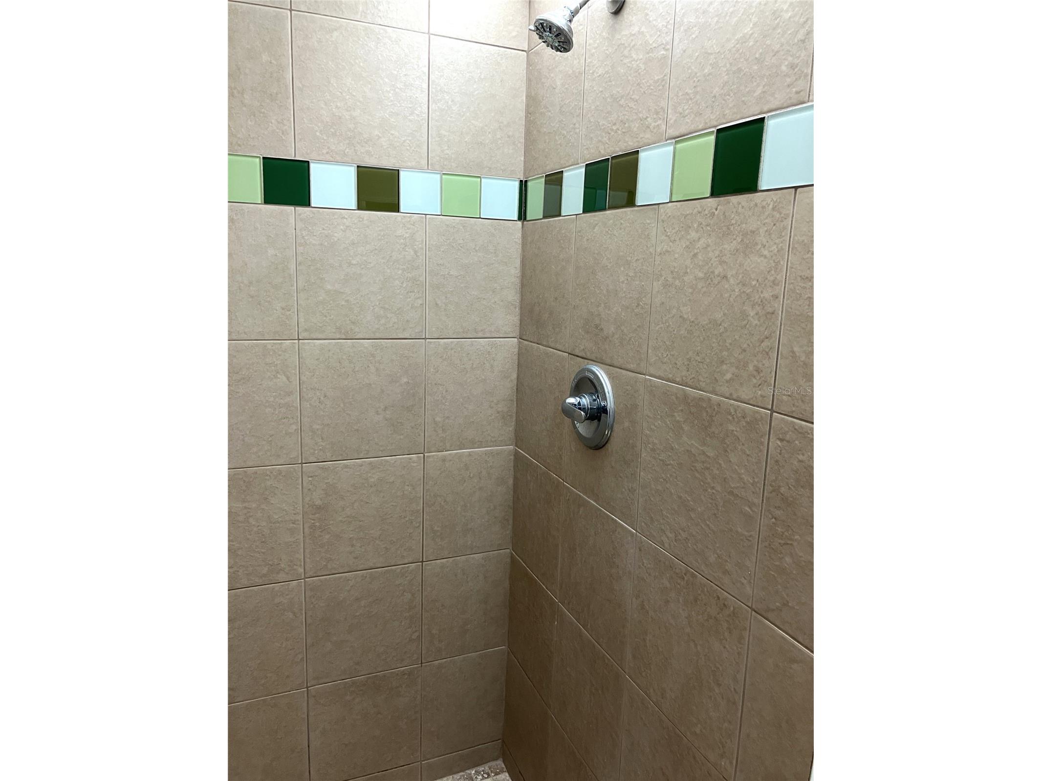 11703 Raintree Village Boulevard #B Temple Terrace FL 33617 TB8468420 image35