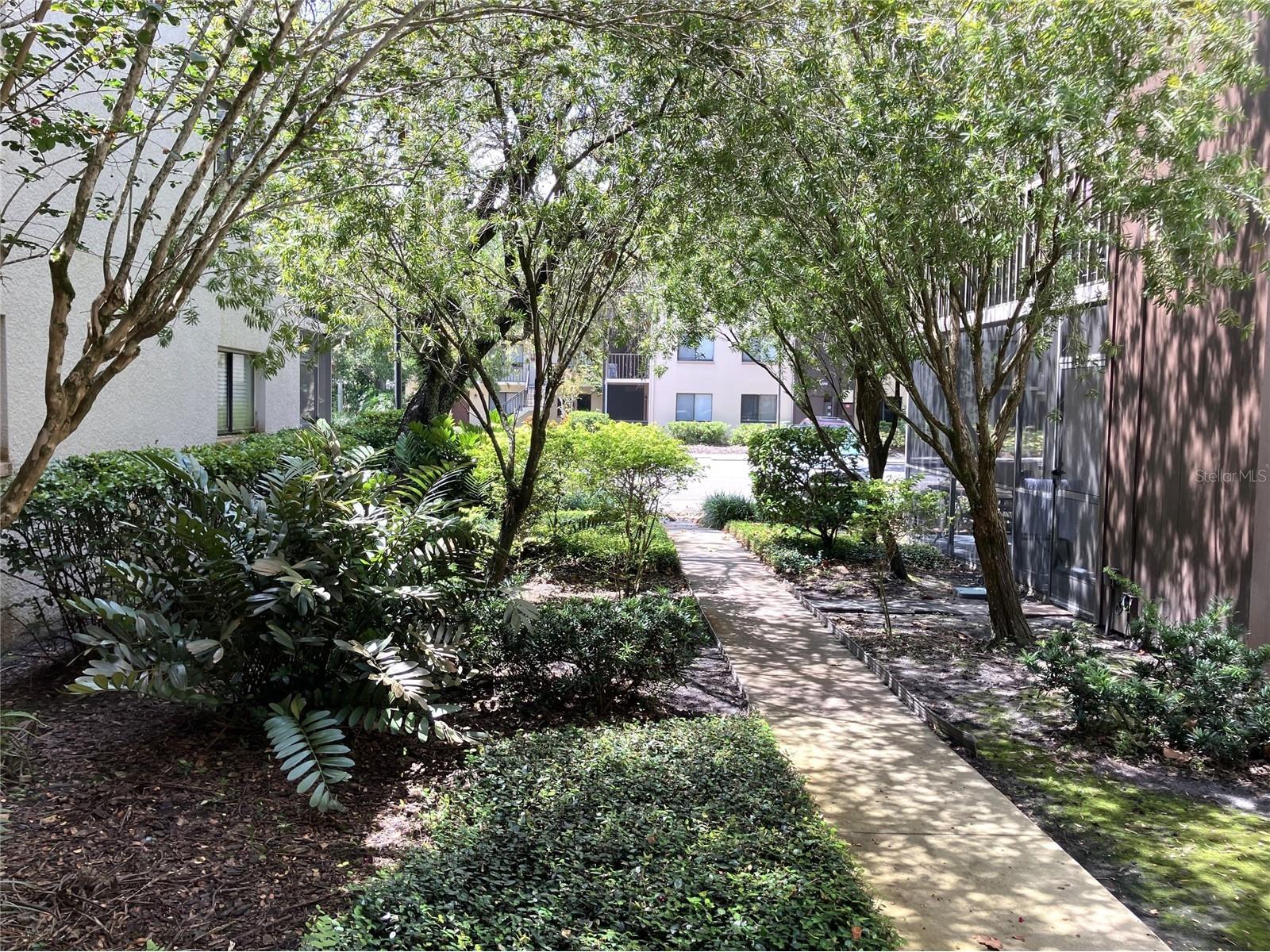 11703 Raintree Village Boulevard #B Temple Terrace FL 33617 TB8468420 image4