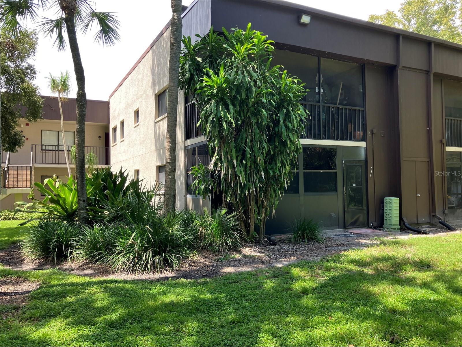 11703 Raintree Village Boulevard #B Temple Terrace FL 33617 TB8468420 image48