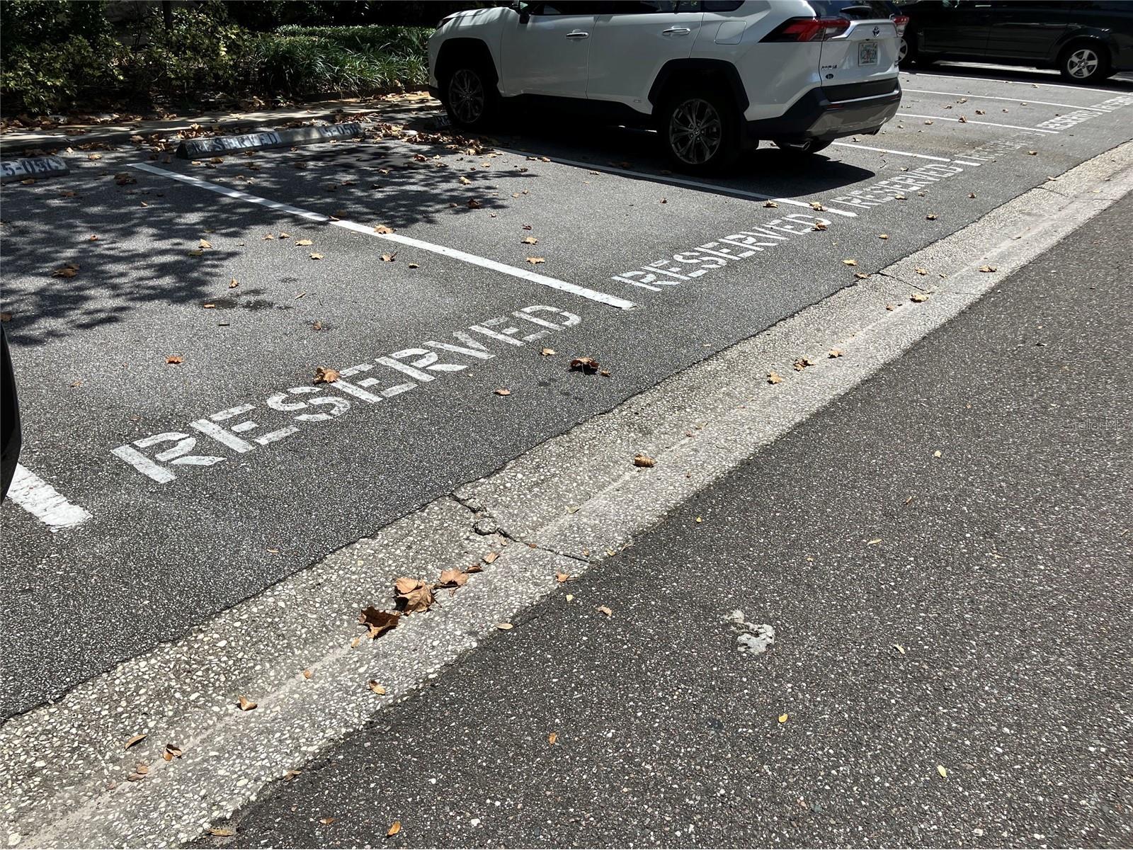 11703 Raintree Village Boulevard #B Temple Terrace FL 33617 TB8468420 image49