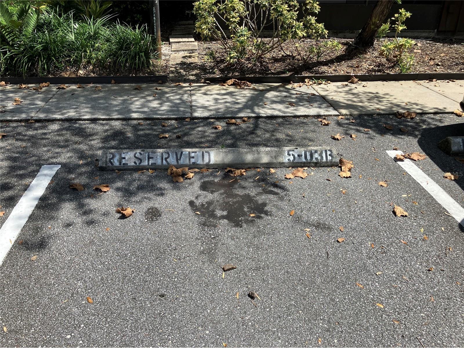 11703 Raintree Village Boulevard #B Temple Terrace FL 33617 TB8468420 image50