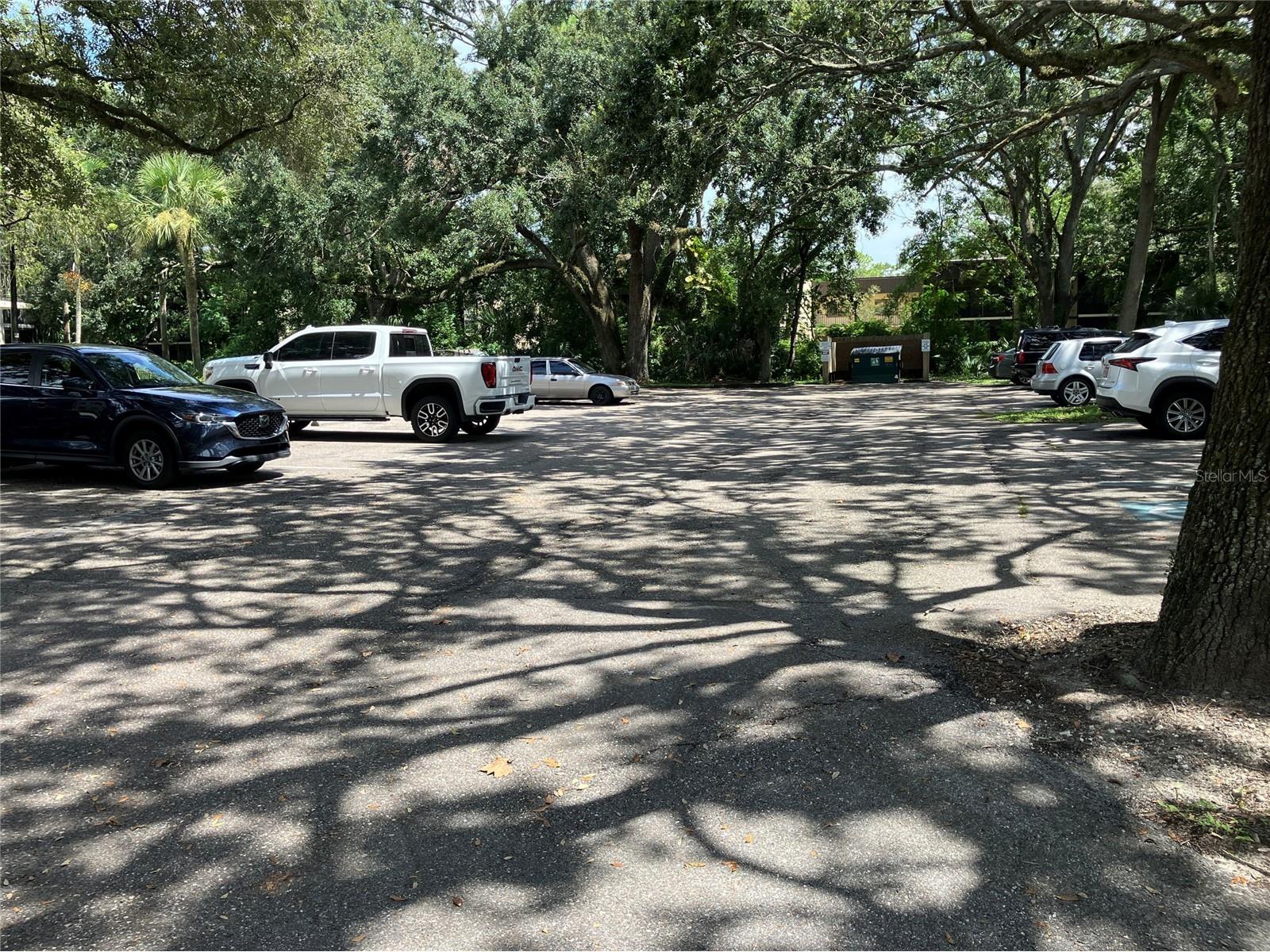 11703 Raintree Village Boulevard #B Temple Terrace FL 33617 TB8468420 image52